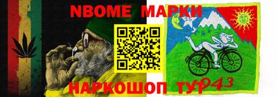 стаф Нальчик