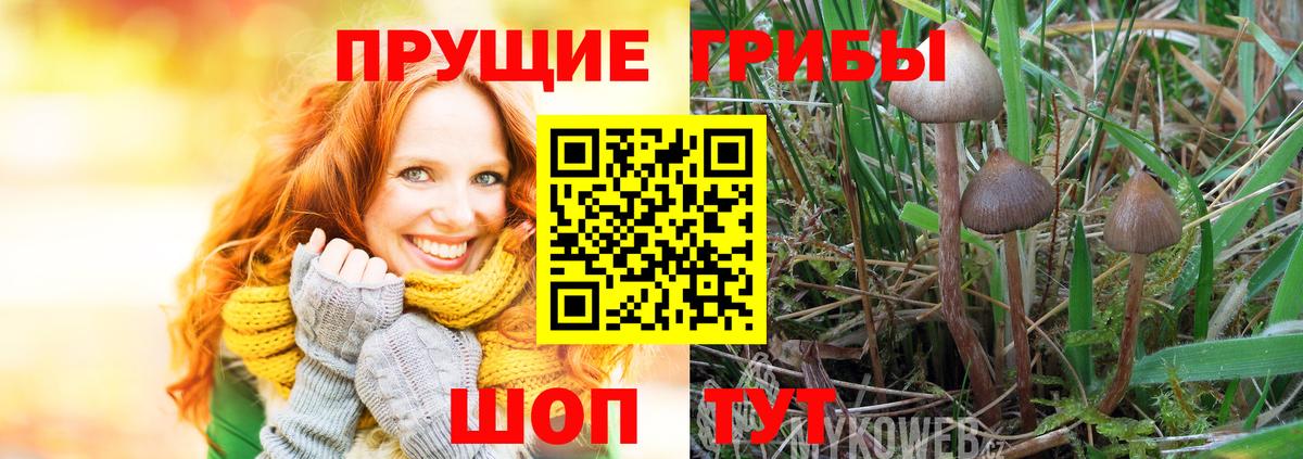 Псилоцибиновые грибы прущие грибы Саранск